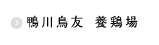 鴨川鳥友 養鶏場